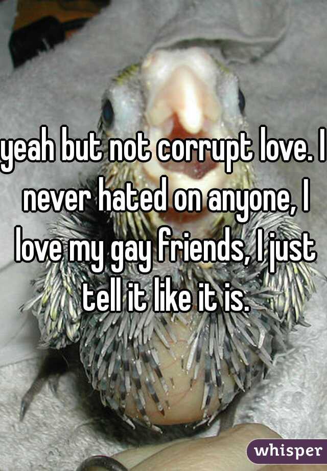 yeah but not corrupt love. I never hated on anyone, I love my gay friends, I just tell it like it is.