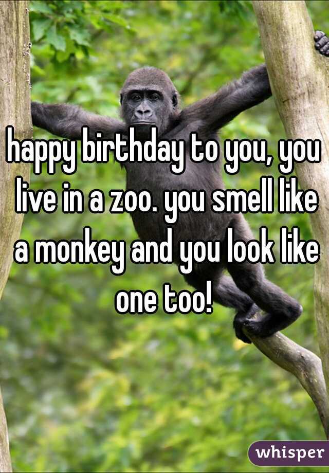 happy birthday to you, you live in a zoo. you smell like a monkey and you look like one too! 