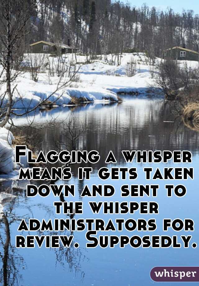 Flagging a whisper means it gets taken down and sent to the whisper administrators for review. Supposedly.