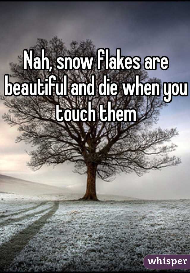 Nah, snow flakes are beautiful and die when you touch them 