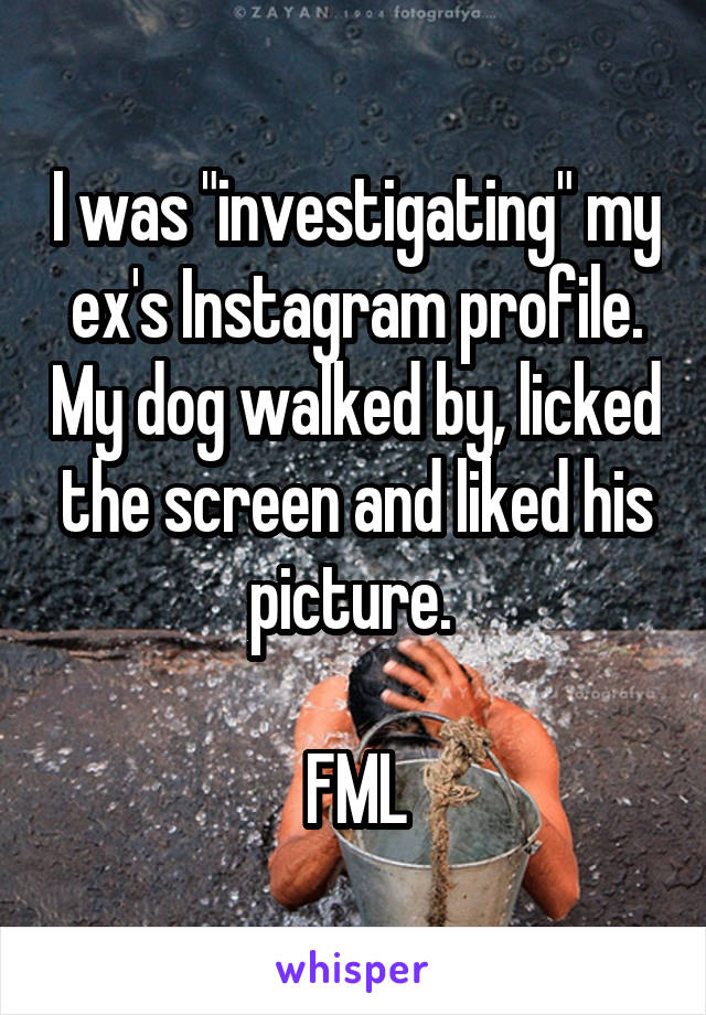 I was "investigating" my ex's Instagram profile. My dog walked by, licked the screen and liked his picture. 

FML