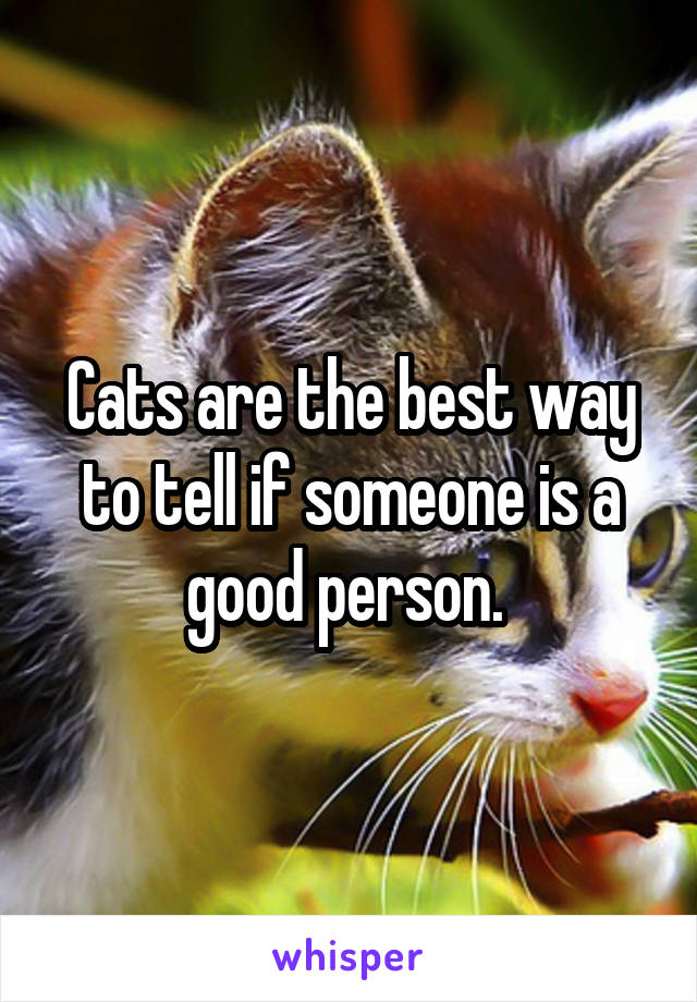 Cats are the best way to tell if someone is a good person. 