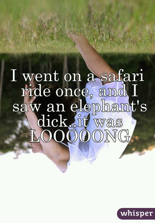 I went on a safari ride once, and I saw an elephant's dick..it was LOOOOONG