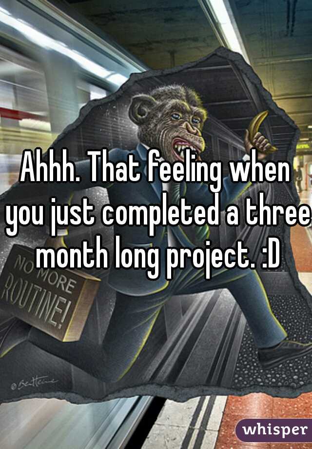 Ahhh. That feeling when you just completed a three month long project. :D