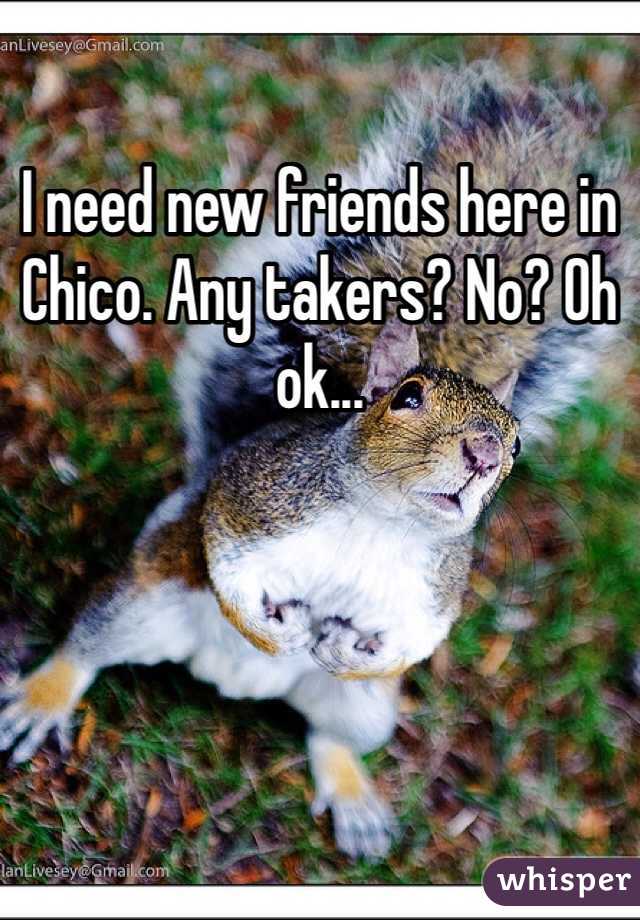 I need new friends here in Chico. Any takers? No? Oh ok... 