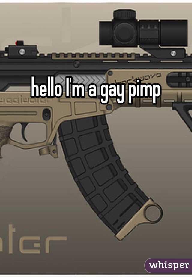 hello I'm a gay pimp
