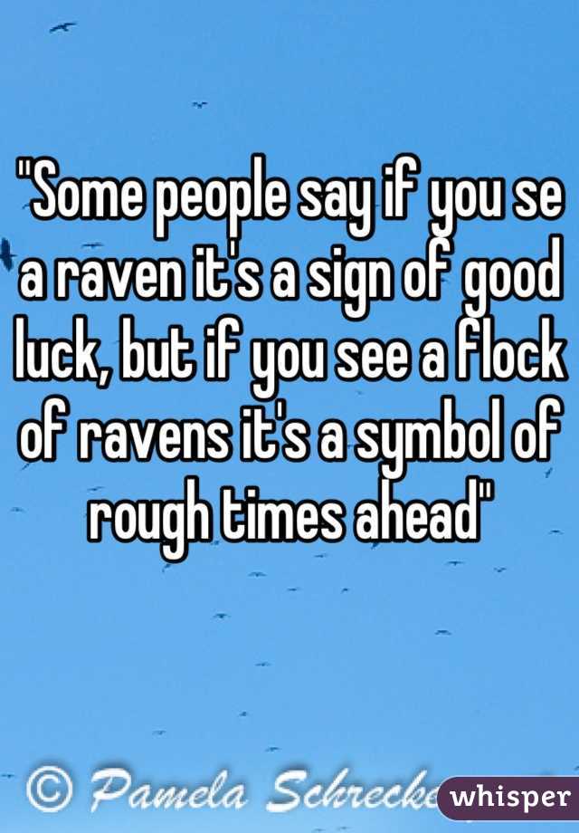 "Some people say if you se a raven it's a sign of good luck, but if you see a flock of ravens it's a symbol of rough times ahead"