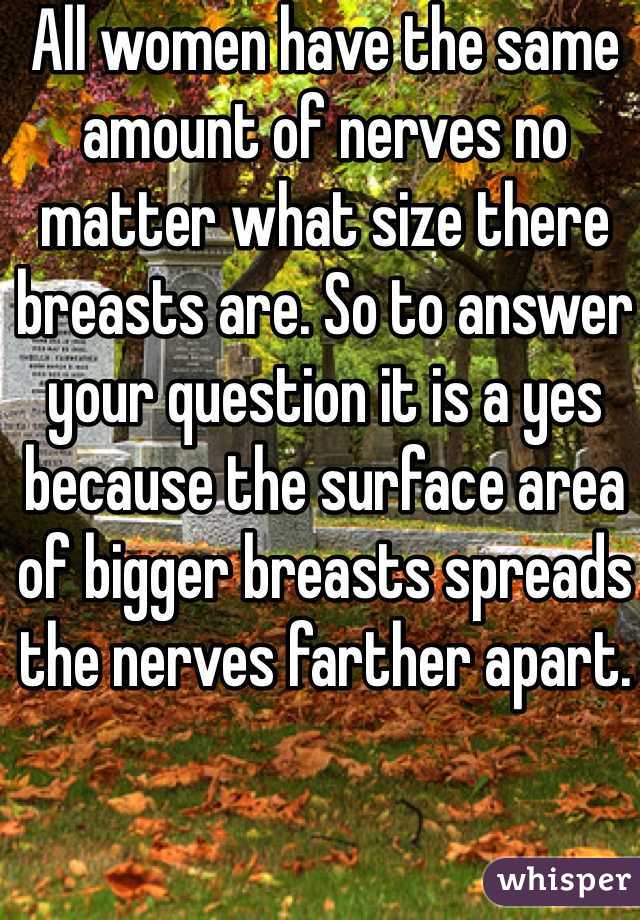 All women have the same amount of nerves no matter what size there breasts are. So to answer your question it is a yes because the surface area of bigger breasts spreads the nerves farther apart.