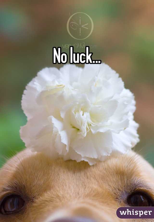No luck...