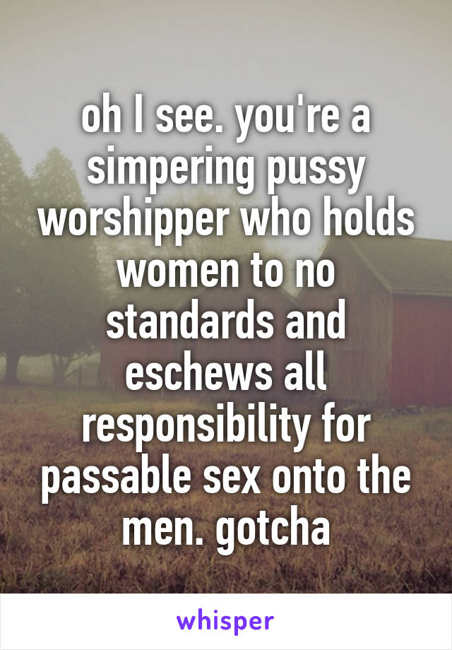 oh I see. you're a simpering pussy worshipper who holds women to no standards and eschews all responsibility for passable sex onto the men. gotcha