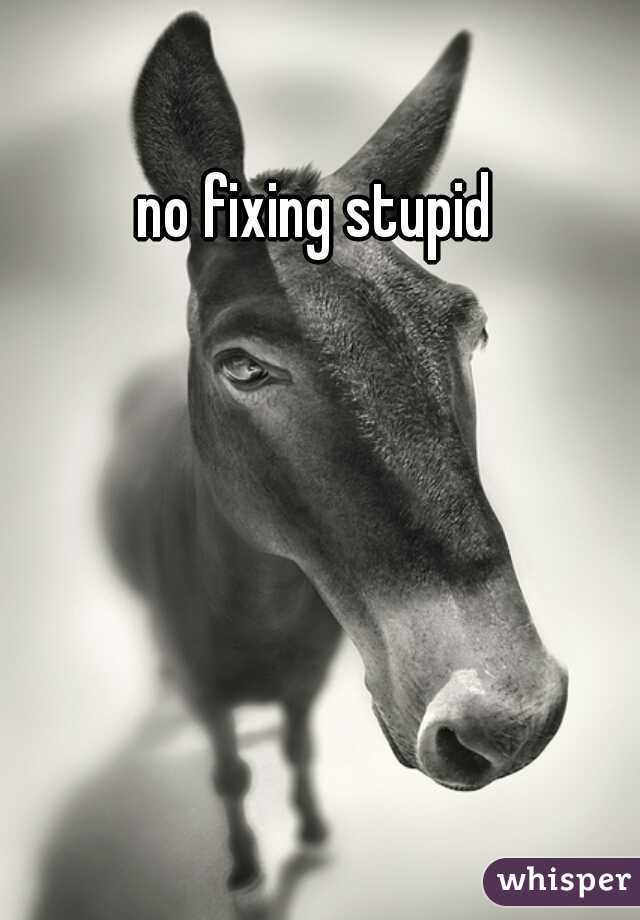 no fixing stupid