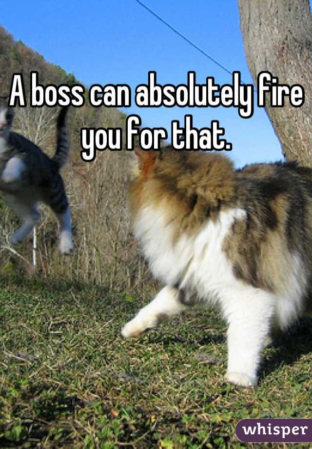 A boss can absolutely fire you for that.