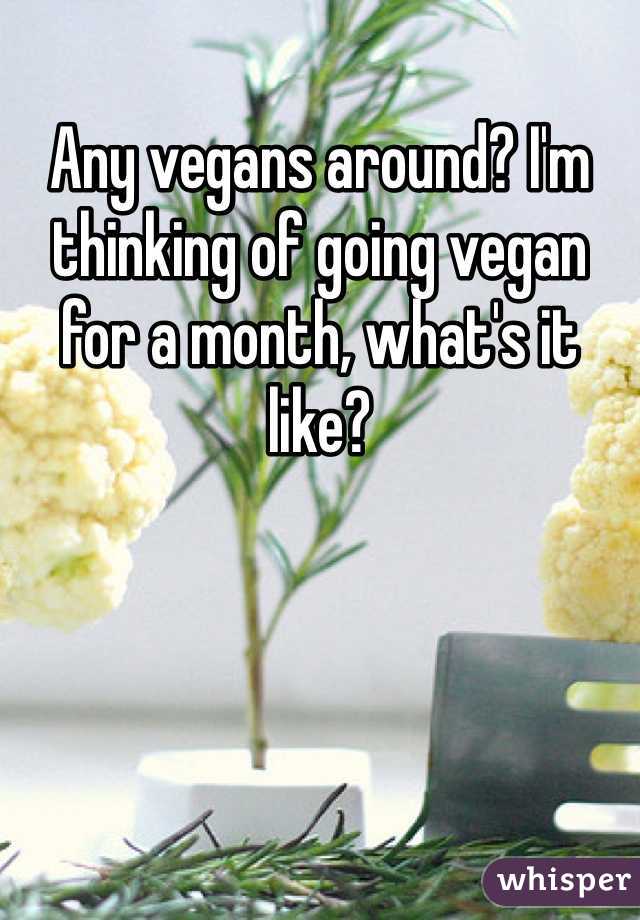 Any vegans around? I'm thinking of going vegan for a month, what's it like?