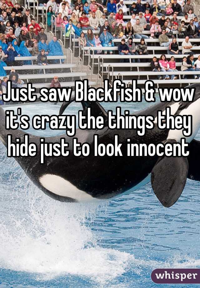 Just saw Blackfish & wow it's crazy the things they hide just to look innocent 