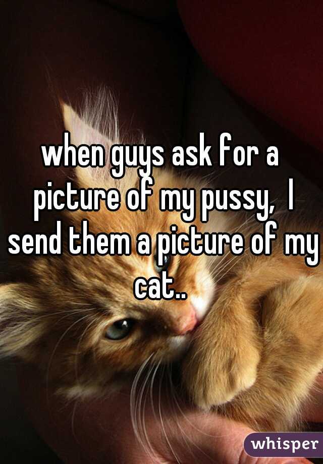 when guys ask for a picture of my pussy,  I send them a picture of my cat.. 
