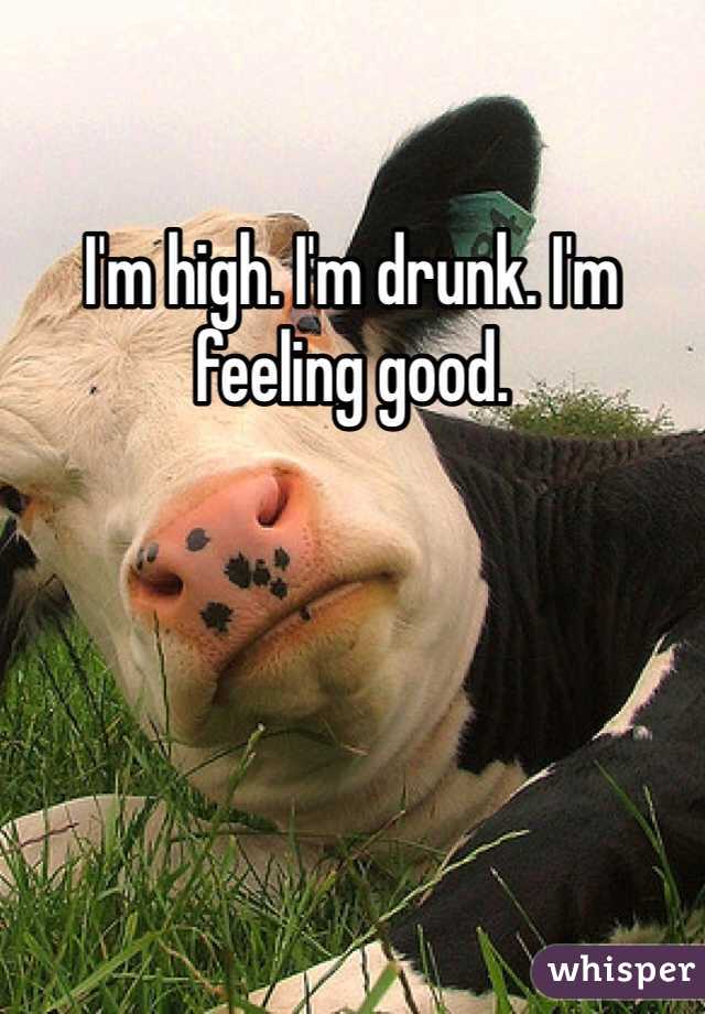 I'm high. I'm drunk. I'm feeling good. 