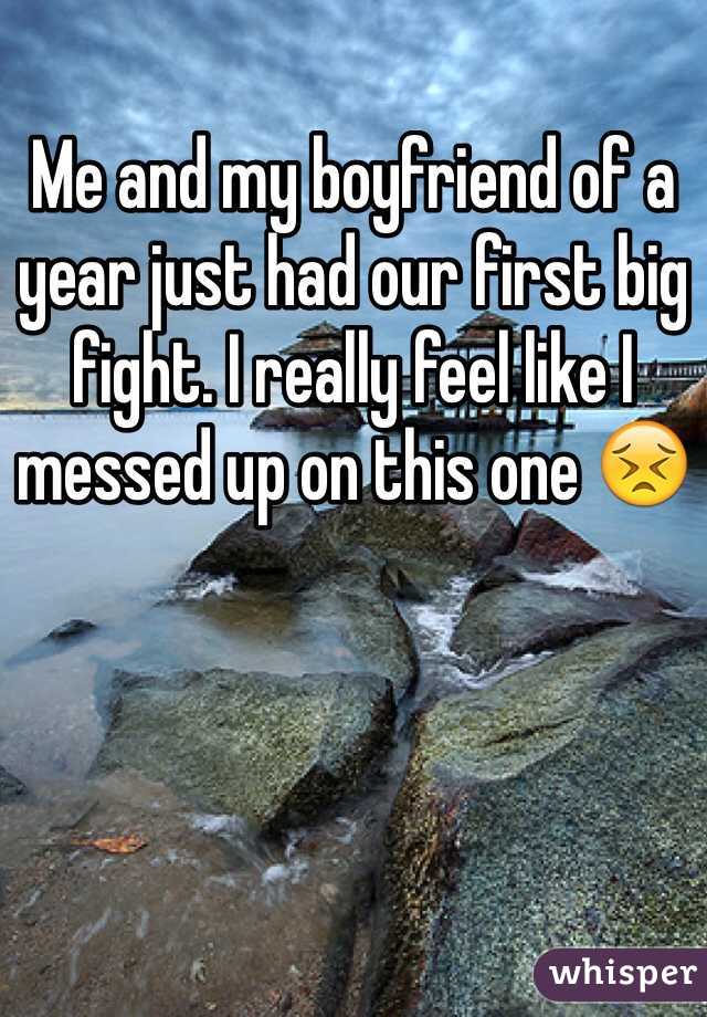 Me and my boyfriend of a year just had our first big fight. I really feel like I messed up on this one 😣