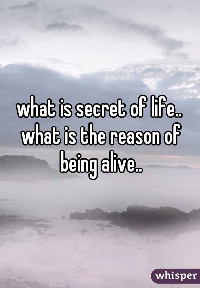 what is secret of life.. what is the reason of being alive..