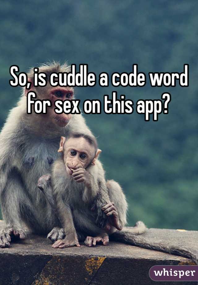 So, is cuddle a code word for sex on this app?