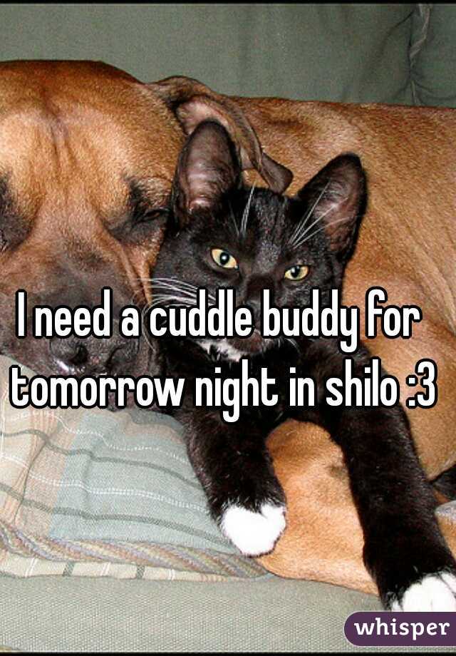 I need a cuddle buddy for tomorrow night in shilo :3