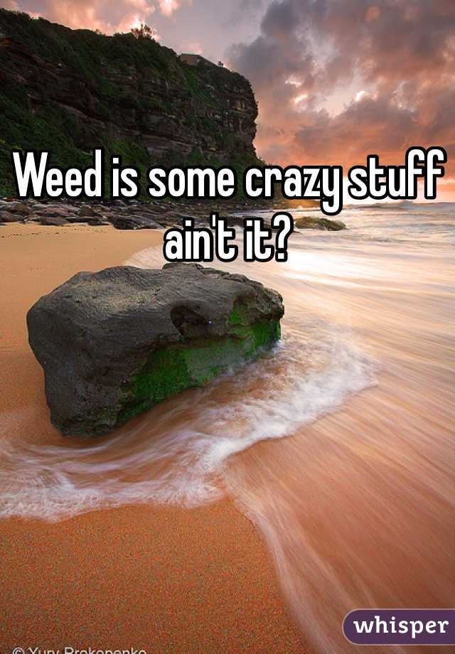 Weed is some crazy stuff ain't it?