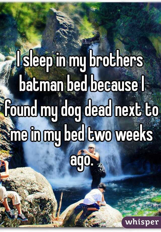 I sleep in my brothers batman bed because I found my dog dead next to me in my bed two weeks ago.