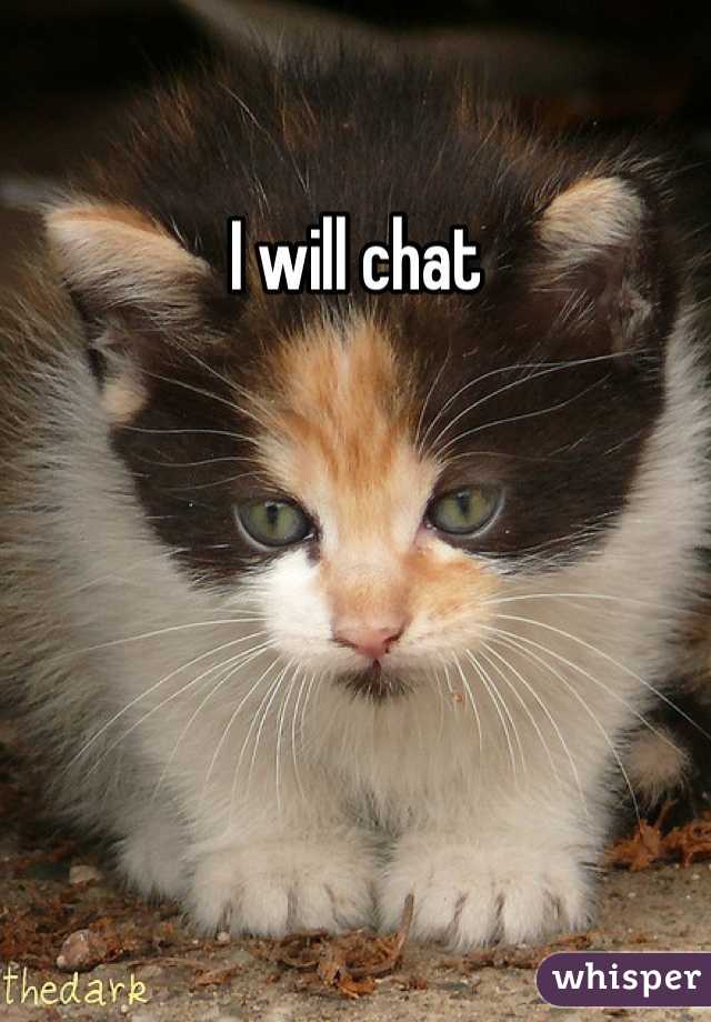 I will chat