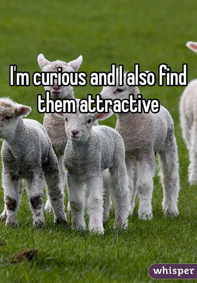 I'm curious and I also find them attractive