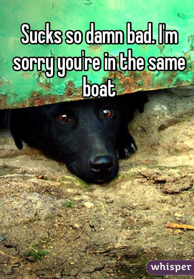 Sucks so damn bad. I'm sorry you're in the same boat 