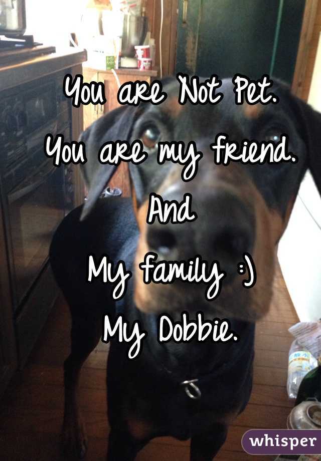 You are Not Pet.
You are my friend.
And
My family :)
My Dobbie.