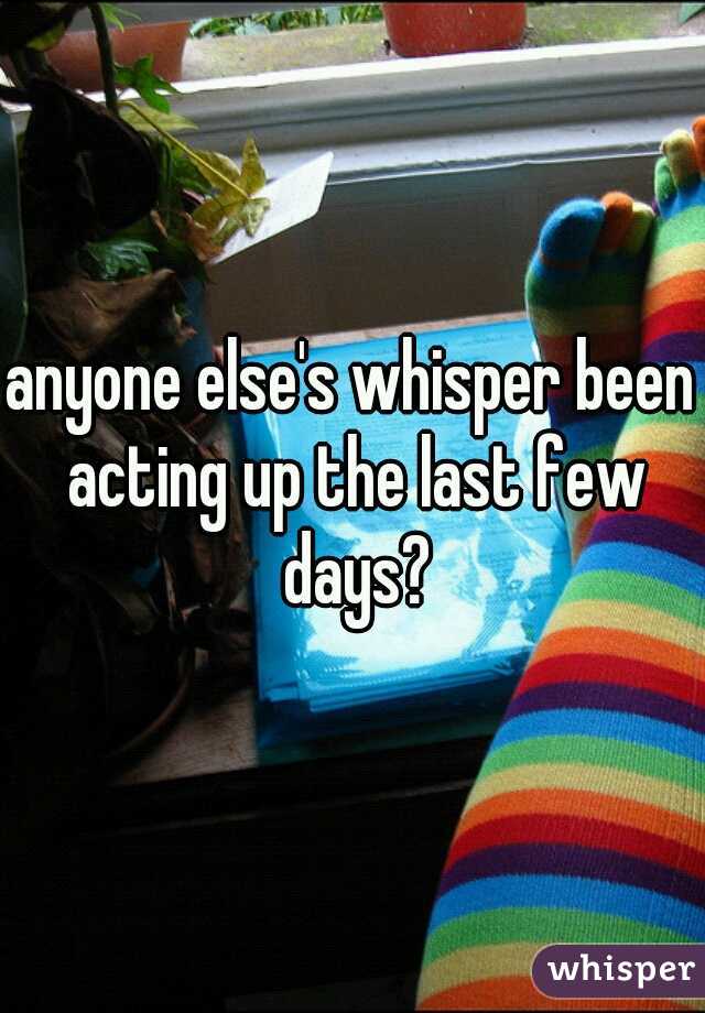anyone else's whisper been acting up the last few days?