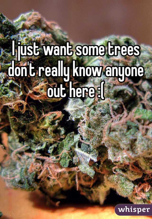 I just want some trees don't really know anyone out here :( 