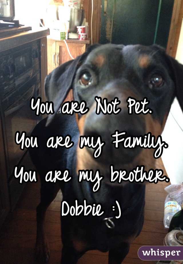 You are Not Pet.
You are my Family.
You are my brother.
Dobbie :)