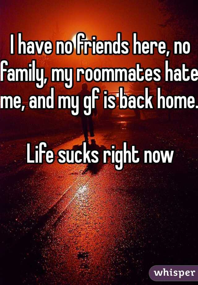 I have no friends here, no family, my roommates hate me, and my gf is back home. 

Life sucks right now