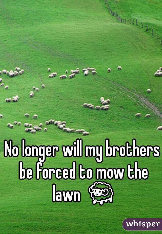 No longer will my brothers be forced to mow the lawn  🐑 