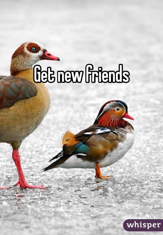 Get new friends