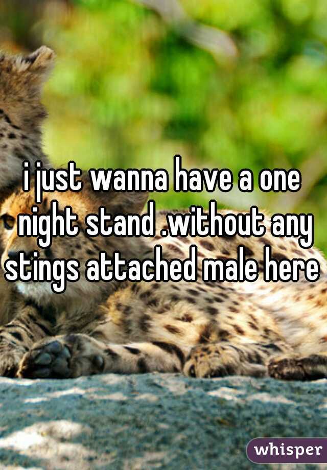 i just wanna have a one night stand .without any stings attached male here  