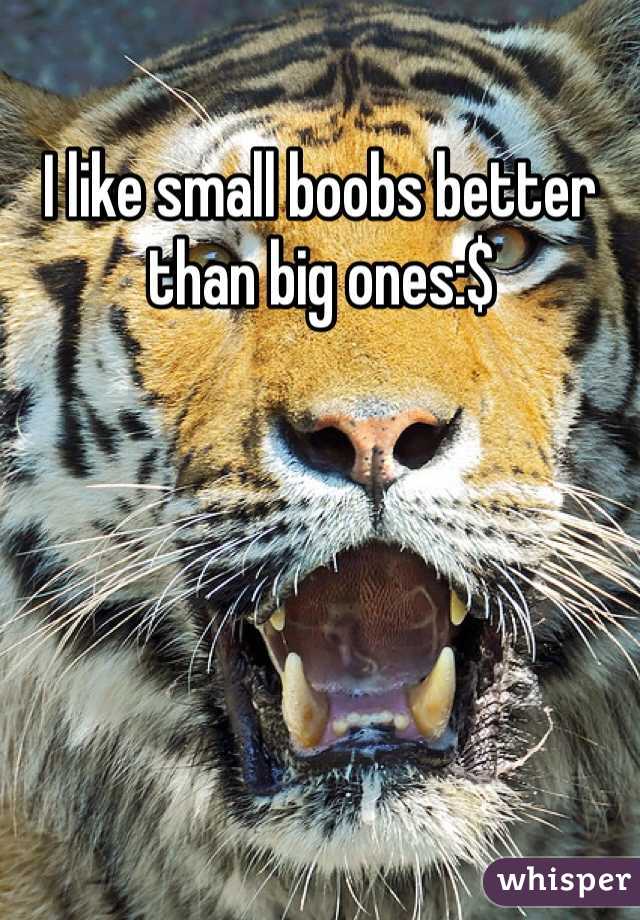 I like small boobs better than big ones:$