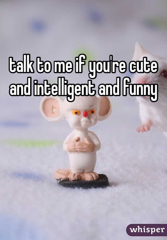 talk to me if you're cute and intelligent and funny 