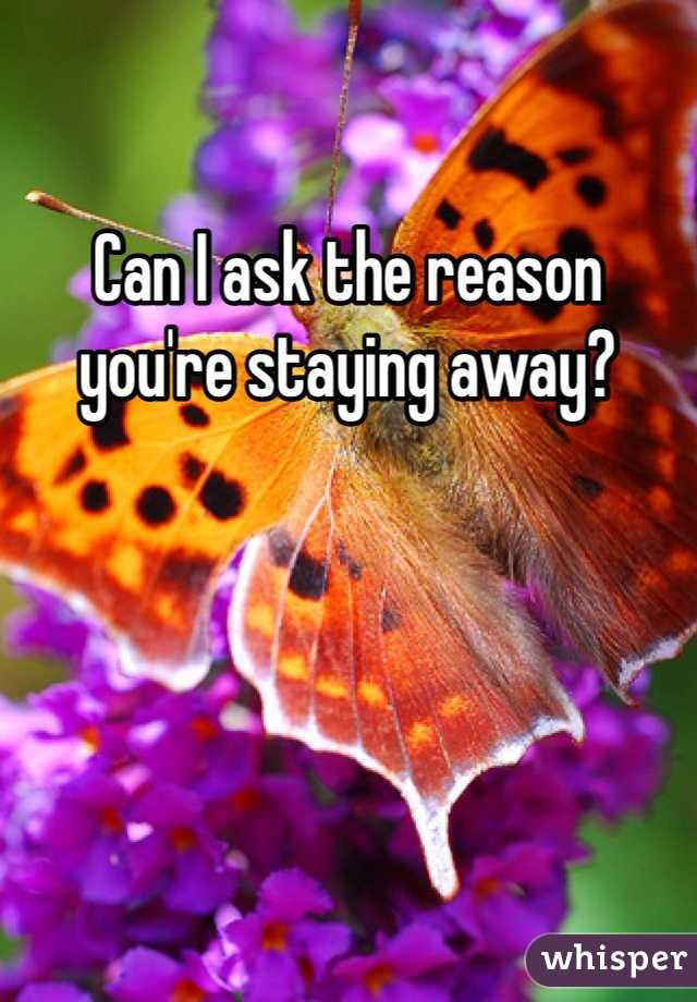 Can I ask the reason you're staying away?