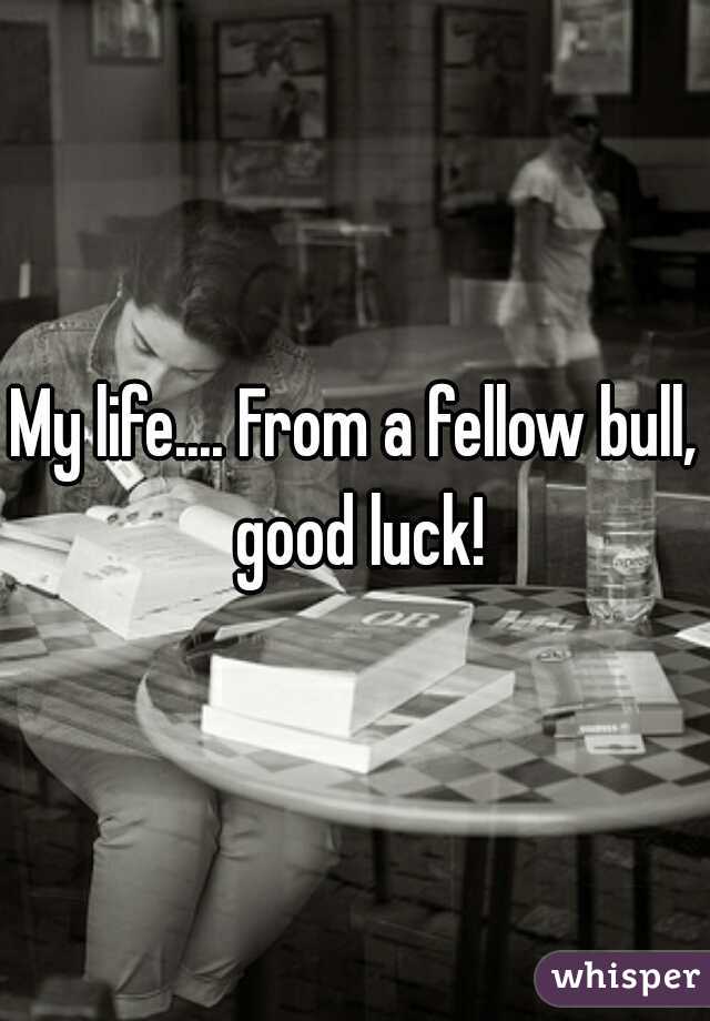My life.... From a fellow bull, good luck!