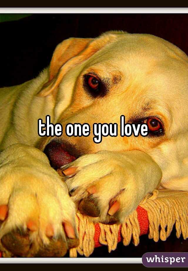 the one you love