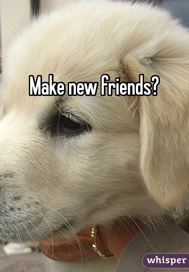 Make new friends?
