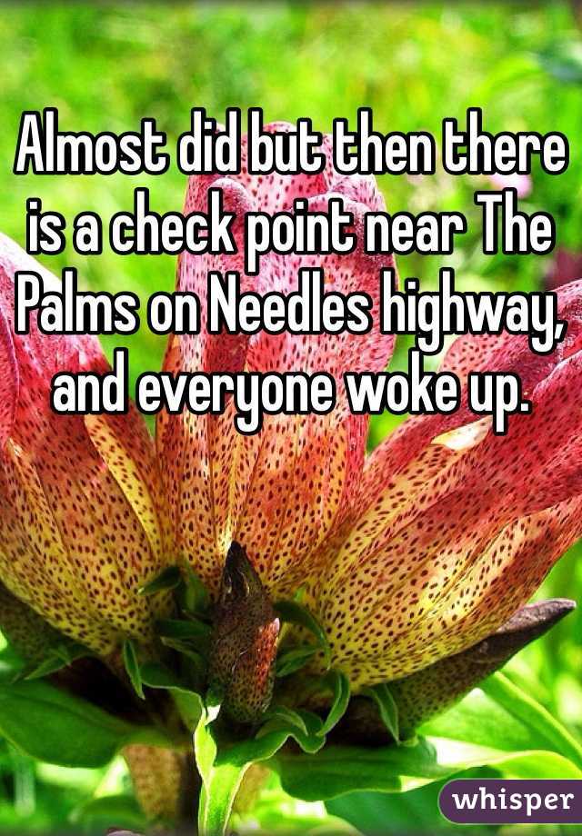 Almost did but then there is a check point near The Palms on Needles highway, and everyone woke up. 