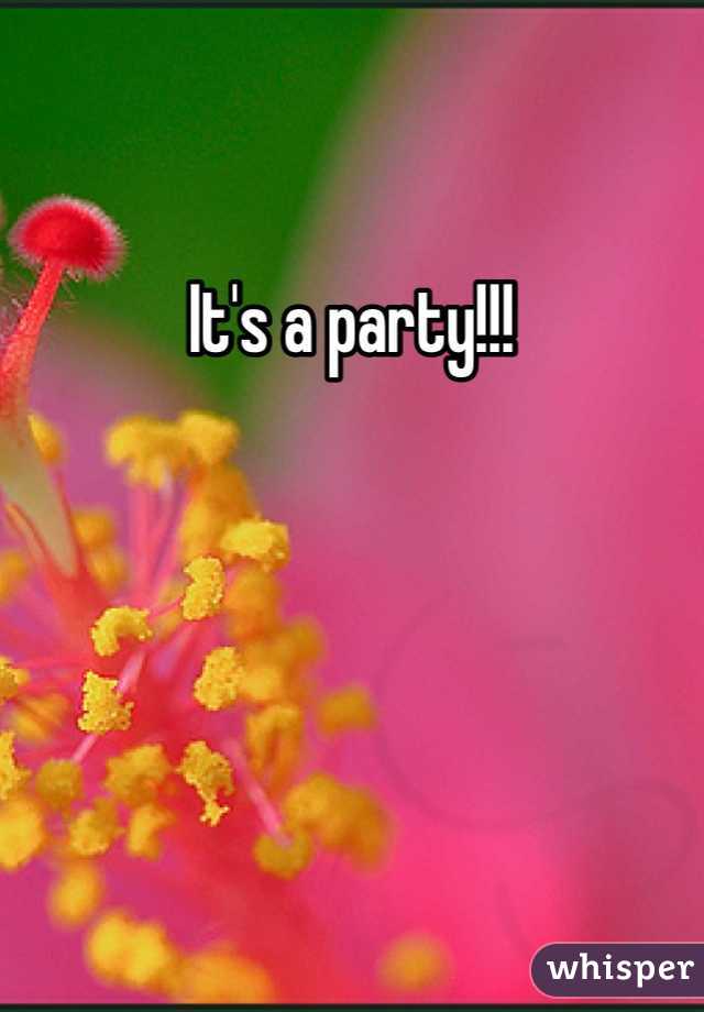 It's a party!!!