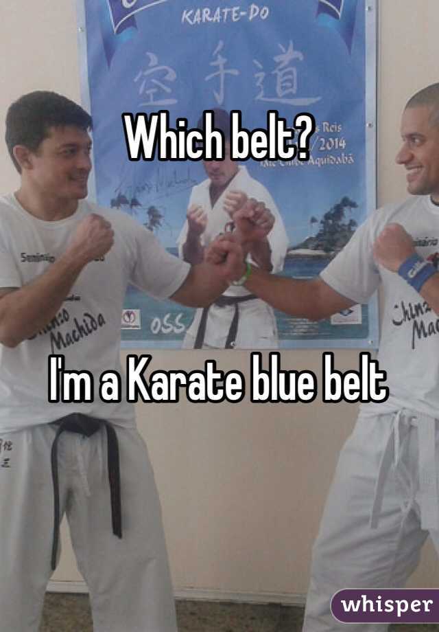 Which belt?



I'm a Karate blue belt