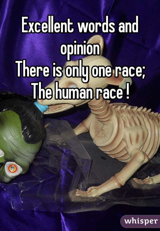 Excellent words and opinion
There is only one race;
The human race !