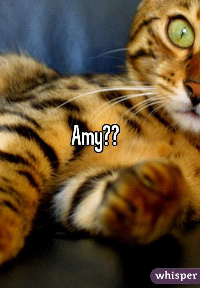 Amy??  