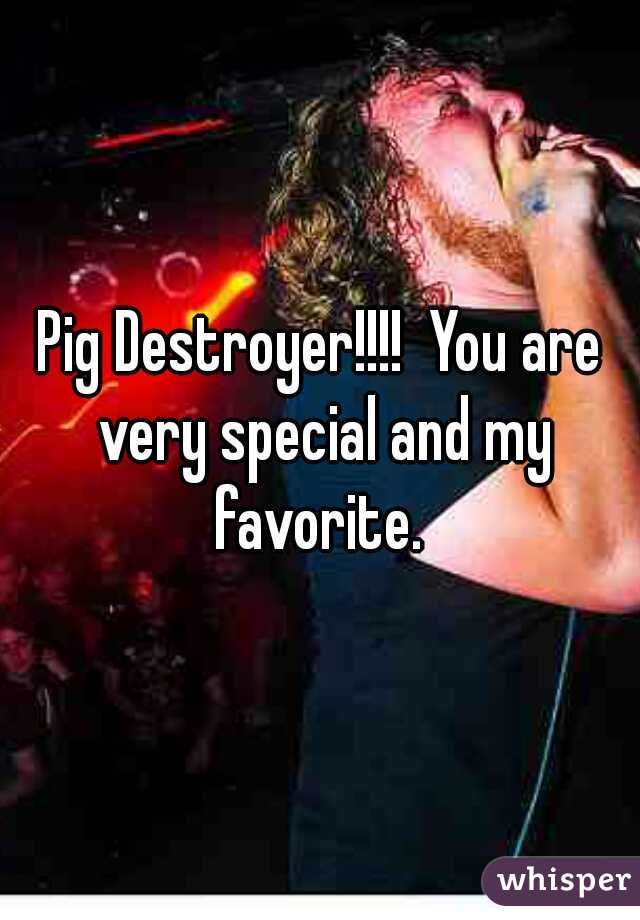 Pig Destroyer!!!!  You are very special and my favorite. 