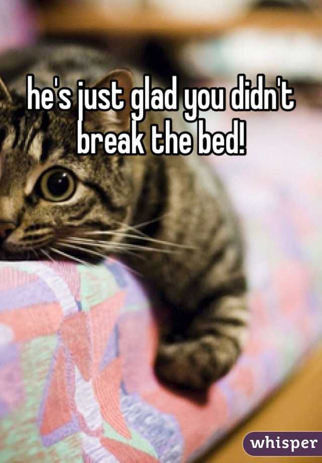 he's just glad you didn't break the bed!